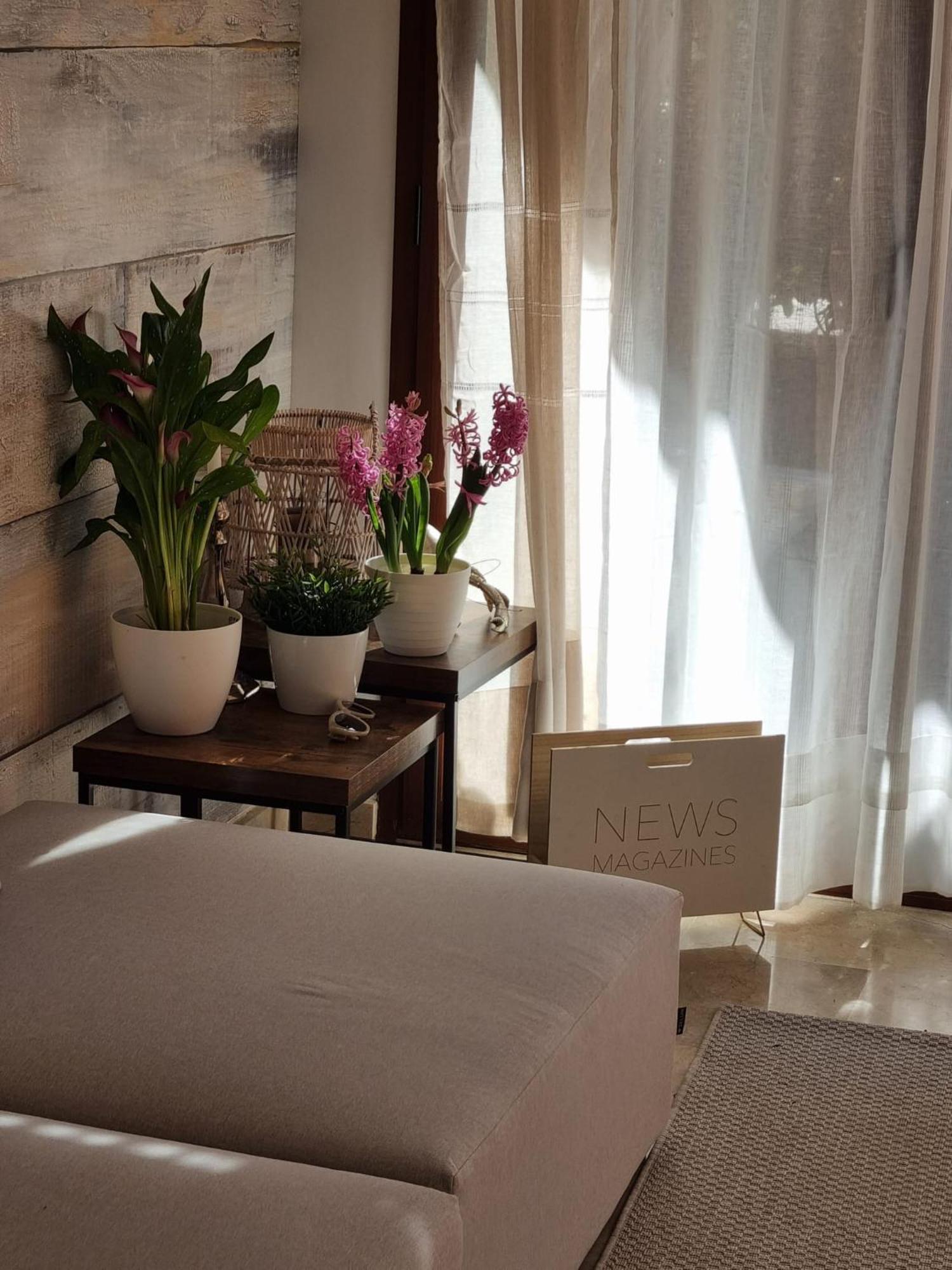 Casa Violette Apartment โมไรรา ภายนอก รูปภาพ